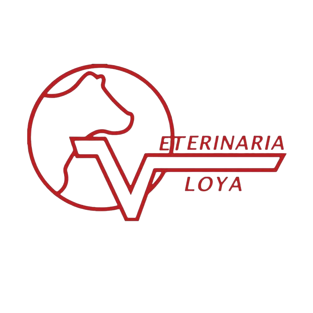 Logo de Veterinaria Loya